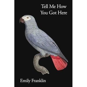 Tell Me How You Got Here -- Emily Franklin